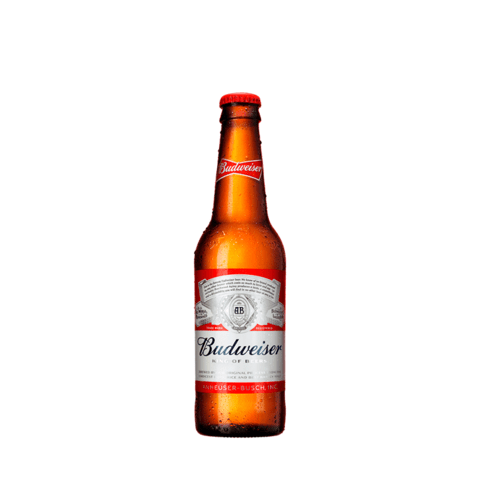 Corona Extra Long Neck - Comprar em Cia do Chopp