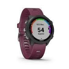 Garmin - Forerunner 245 Negro y Violeta - comprar online