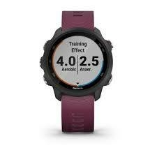 Garmin - Forerunner 245 Negro y Violeta