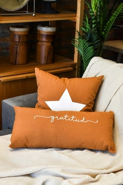 Set x4 almohadones avellana - Muebles Tendencia