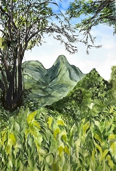 Obra original "Las Yungas"