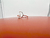 Anillo Lunella