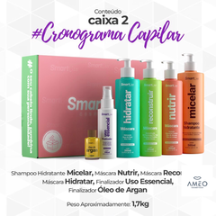 Caixa 2 SmartLiss - Cronograma Capilar - comprar online