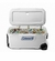 Conservadora Coleman 316 Series Marine 100QT White en internet