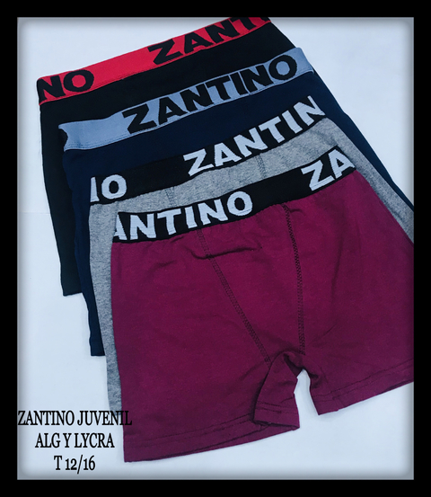 Boxer zantino online precio