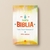 Biblia NVI Letra Grande - Tapa Rustica - comprar online