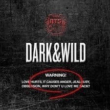 BTS - DARK & WILD