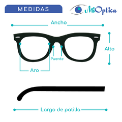 Las Oreiro Mod.977 C.004 - comprar online