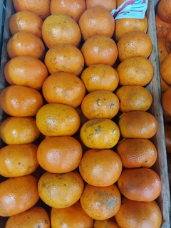 Mandarina Encore x kilo