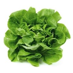 Lechuga mantecosa x 1 Kg