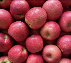 Manzana Pink x1kg