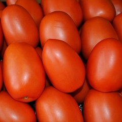 Tomate Perita x2 kilo