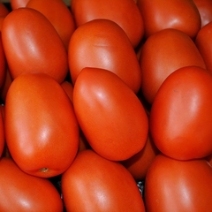 Tomate perita chiquito x1 kilo