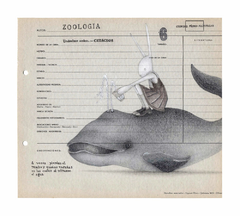 Laura Romano, #6 de la serie Manual de instrucciones para la domesticación de la naturaleza, giclée en edición limitada de 20 sin marco (-10% efectivo, transferencia ó débito eligiendo la opción "pago a convenir") en internet