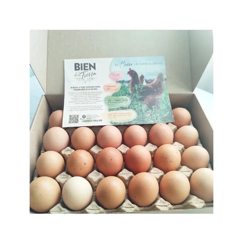 Huevos Pastoriles Orgánicos Bien de la Tierra x Maple (30) Orgánico Certificado
