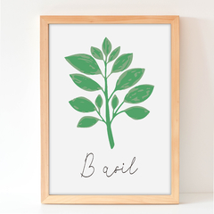 Basil - Plantas aromaticas