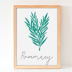 Rosemary - Plantas aromaticas