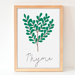 Thyne - Plantas aromaticas