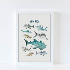Tiburones en internet