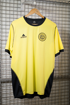 Remera Entrenamiento Flandria 2024