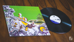 [ZNT 003] Bufo Borealis - Pupilas Horizontais (LP) - loja online