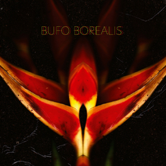 [ZNT 007] BUFO BOREALIS - DIPTERA (LP)
