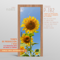 VINILO PARA PUERTAS .P 182