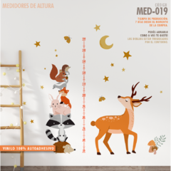 Medidor 019