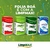 Caixa Papel Toalha Interfolhada 2 dobras Ecogreen Papel 100% Celulose 3.000 Folhas 19g 20×21cm - Limpmax - comprar online