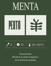 MENTA