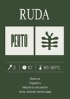 RUDA