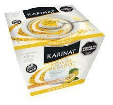 Imagen de YOGURT HELADO SIN TACC 120 GR - KARINAT