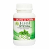 STEVIA EN POLVO 110gr - JUAL