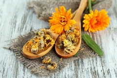 FLOR DE CALENDULA - comprar online