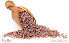 SEMILLAS DE PSYLLIUM - comprar online