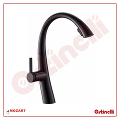 MOZART MONOC PARIS NEGRA 7076 ROCIADOR EXTRAIBLE