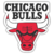 Chicago Bulls