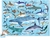 Crocodile Creek Puzzle Mundo de Tiburones 100 piezas - comprar online