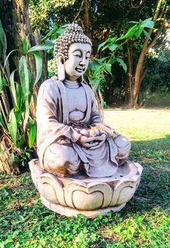 Imagen de Fuente De Agua Buda Con Bomba Y Luz Decoracion Resina