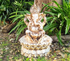 Ganesha Fuente De Agua Con Bomba Y Luz Incluidas - comprar online