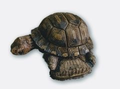 Tortuga De Resina Para Jardín Adorno Decoracion - comprar online