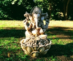 Ganesha Fuente De Agua Con Bomba Y Luz Incluidas