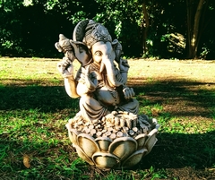 Ganesha Fuente De Agua Con Bomba Y Luz Incluidas en internet