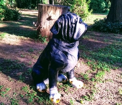 Perro grande de jardin bull dog exterior estatua de resina en internet