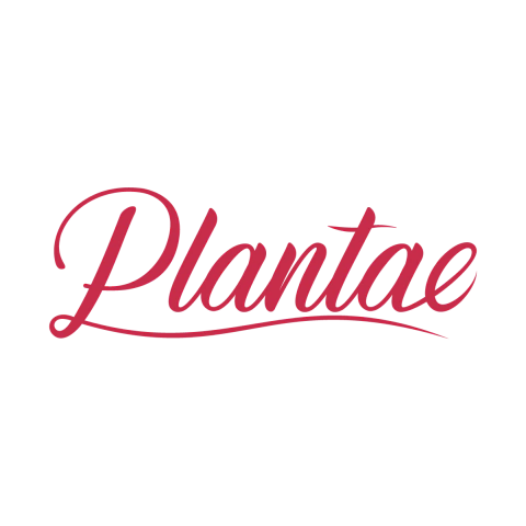 Plantae