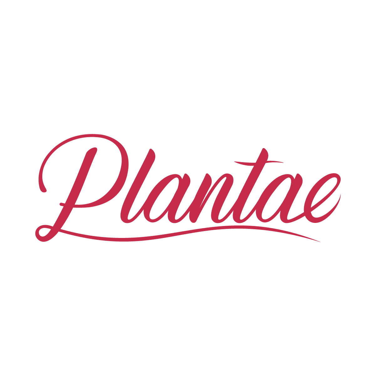 Plantae