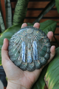 Orgonite Concha Calmaria e Paz Cianita azul e Água Marinha