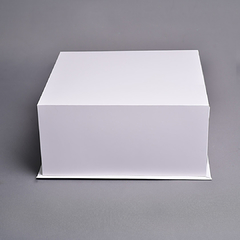 25x25x12 - CAJA 25 SIN VISOR (PACK X 2 U) - comprar online