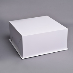 25x25x12 - CAJA 25 SIN VISOR + DIVISION PLEGABLE (PACK X 2 U) - comprar online