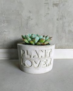 Vaso de Cimento Plant Lover - comprar online